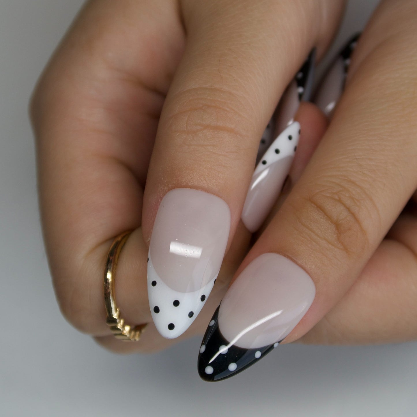 Ladybug